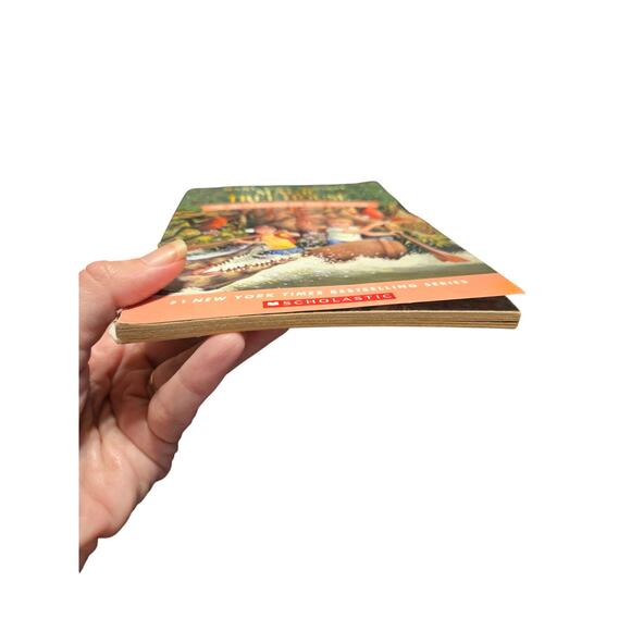 MAGIC TREE HOUSE #6 AFTERNOON IN THE AMAZON Mary Pope Osborne Chapter Book - Picture 3 of 8